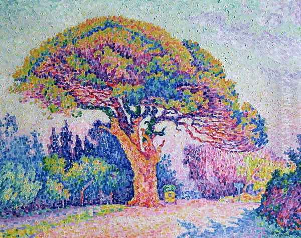 The Pine Tree at St. Tropez, 1909 Oil Painting by Paul Signac