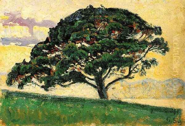 The Large Pine, Saint-Tropez Oil Painting by Paul Signac