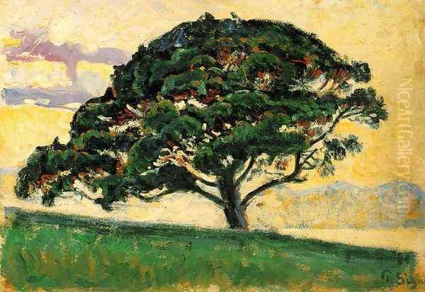 The Pine, Saint Tropez Oil Painting by Paul Signac