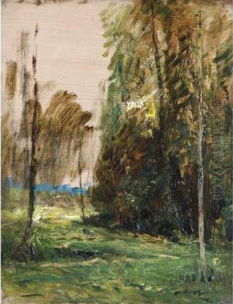 :effet De Soleil A Travers Les Arbres Huile Surpapier Contrecolle Sur Carton Oil Painting by Francois Auguste Ravier