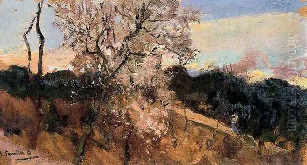 Almond of Asís Oil Painting by Joaquin Sorolla Y Bastida