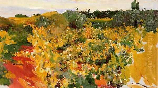 Vineyard, Jerez Oil Painting by Joaquin Sorolla Y Bastida