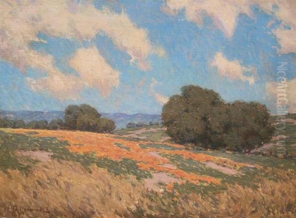 California Poppies Oil Painting by Granville Redmond