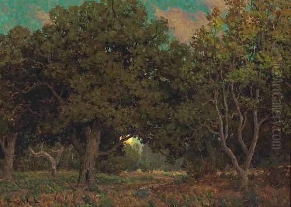 Sunset Through The Trees Oil Painting by Granville Redmond