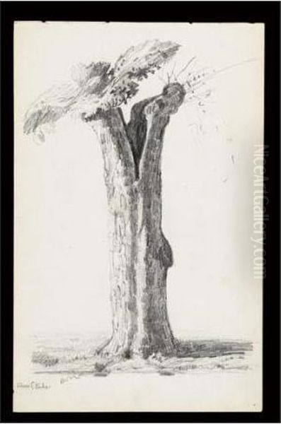 L'arbre Eclate Oil Painting by Odilon Redon