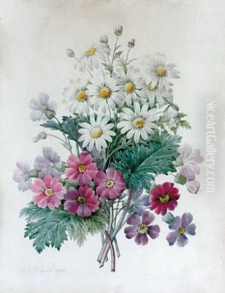 Marguerites Et Fleurs Des Champs Oil Painting by Pierre-Joseph Redoute