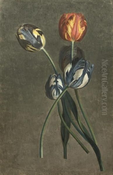 Parrot Tulips Oil Painting by Pierre-Joseph Redoute