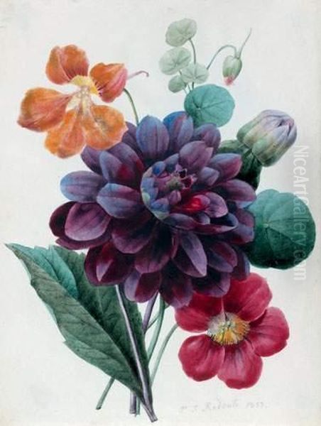 Jete De Dahlias Et Capucines
 Aquarelle Sur Traits De Crayon Noir Sur Velin Oil Painting by Pierre-Joseph Redoute