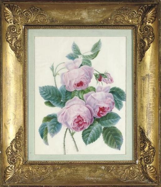 Study Of A Bunch Of Roses Oil Painting by Pierre-Joseph Redoute