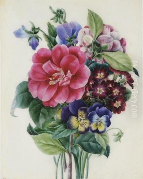 Bouquet De Pivoines, Pensees Et Auriculae Oil Painting by Pierre-Joseph Redoute