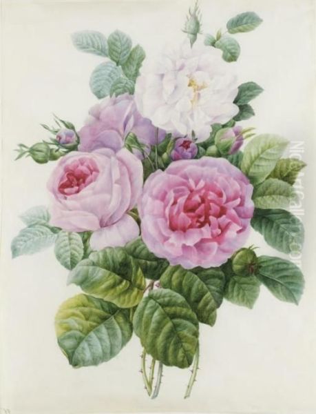 Bouquet De Roses Blanches Et Roses Oil Painting by Pierre-Joseph Redoute