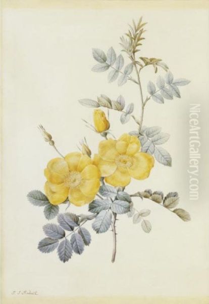 Rosa Eglanteria Oil Painting by Pierre-Joseph Redoute