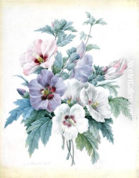 A Bouquet Of Rose Of Sharon (hibiscus Syriacus) Oil Painting by Pierre-Joseph Redoute