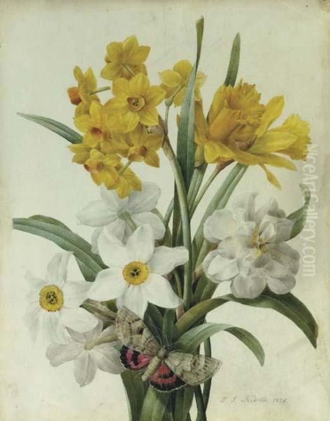 A Bouquet Of Daffodils And Narcissi With A Red Underwing Moth Oil Painting by Pierre-Joseph Redoute