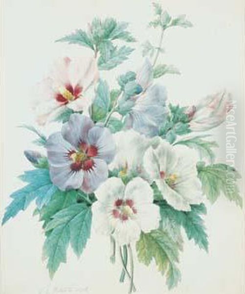 Redoute - < Althaea > Oil Painting by Pierre-Joseph Redoute