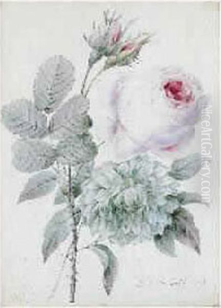 Dalhia Et Roses Oil Painting by Pierre-Joseph Redoute