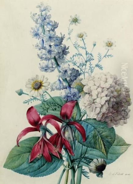 Hydrangea, Hyacinths, Saint-jacques Lilies And Daisies Oil Painting by Pierre-Joseph Redoute