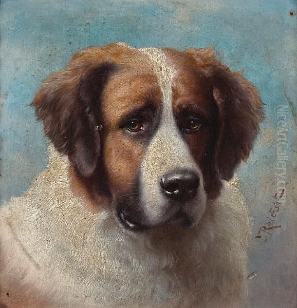 Portrait Of A Saint Bernard Oil Painting by Carl Reichert