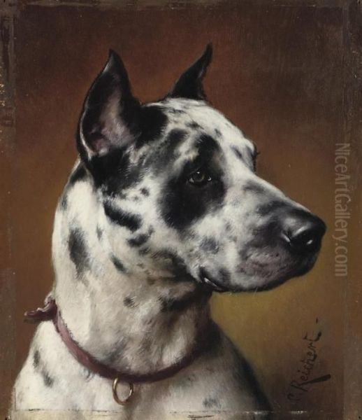 A Great Dane Oil Painting by Carl Reichert