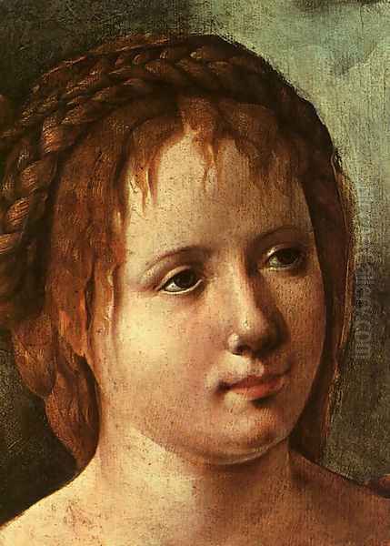 Head of a Young Girl Oil Painting by Jan Van Scorel