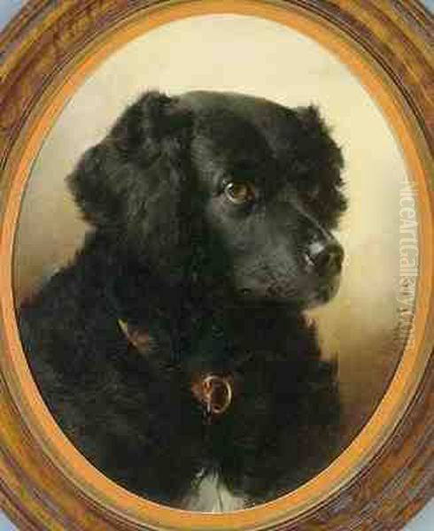 Black Dog Oil Painting by Carl Reichert