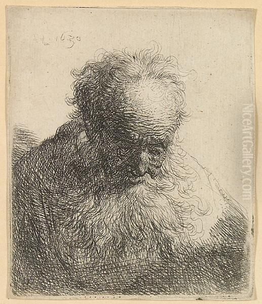 Bust Of An Old Man With A Flowing Beard: Head Bent Forward Oil Painting by Rembrandt Van Rijn