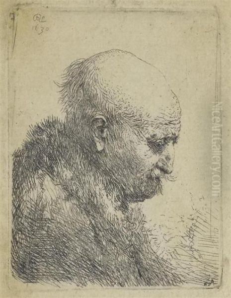 Bald Man Turned To The Right Oil Painting by Rembrandt Van Rijn