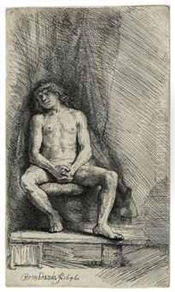 Nude Man Seated Before A Curtain Oil Painting by Rembrandt Van Rijn