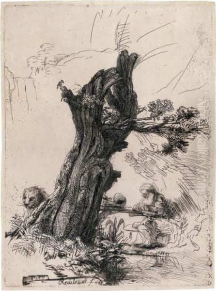 Saint Jerome Beside The Pollard Willow Oil Painting by Rembrandt Van Rijn