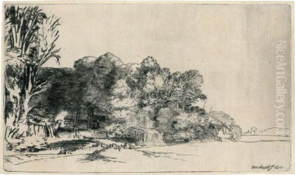 A Clump Of Trees With A Vista Oil Painting by Rembrandt Van Rijn