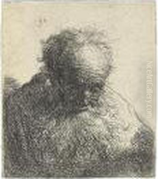 Bust Of An Old Man With A Flowing Beard: Head Bent Forward. Oil Painting by Rembrandt Van Rijn