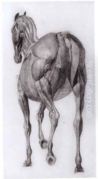 Dorsal view of the muscle structure of a progressively dissected horse, study No.7 from The Anatomy of the Horse, 1766 Oil Painting by George Stubbs