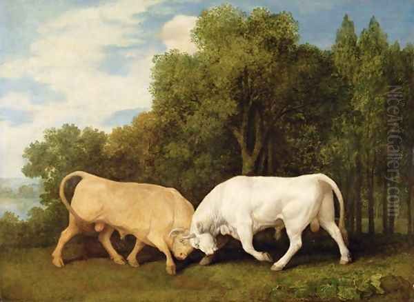 Bulls Fighting, 1786 Oil Painting by George Stubbs