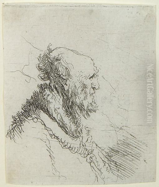 Bald Old Man With A Short Beard, In Profile Right Oil Painting by Rembrandt Van Rijn