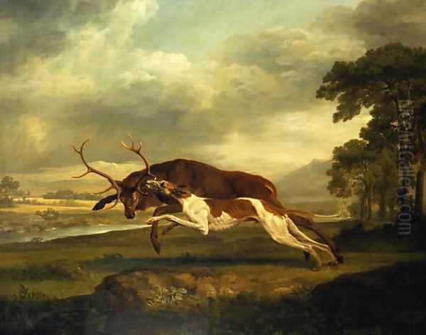 A Hound attacking a stag Oil Painting by George Stubbs