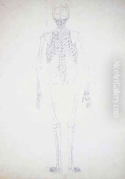 Study of the Human Figure, Posterior View, Diagram for Key to Table II, from A Comparative Anatomical Exposition of the Structure of the Human Body with that of a Tiger and a Common Fowl, c.1795-1806 Oil Painting by George Stubbs