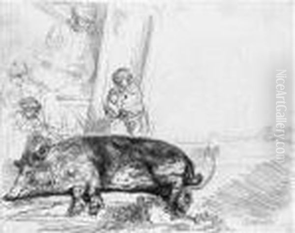 A Hog Oil Painting by Rembrandt Van Rijn