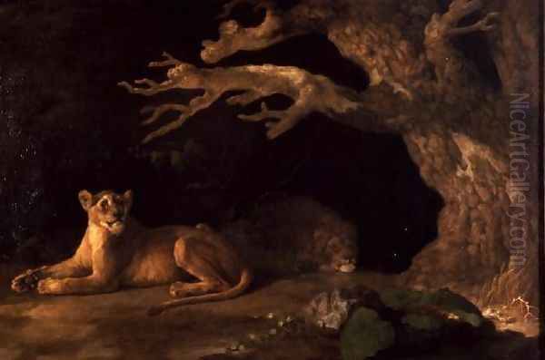 A Lion and a lioness Oil Painting by George Stubbs