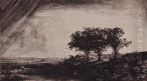 The Three Trees Oil Painting by Rembrandt Van Rijn