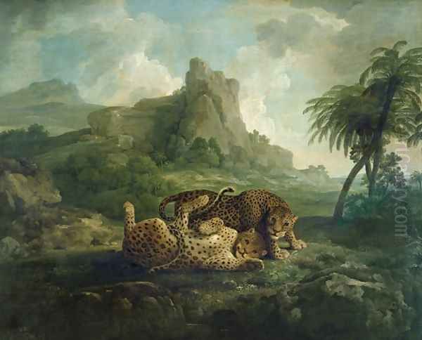 Leopards at Play, c.1763-8 Oil Painting by George Stubbs