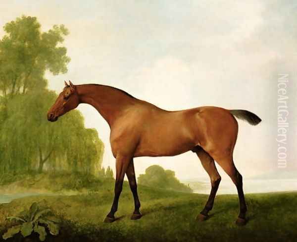 A Bay Thoroughbred in a Landscape, 1801 Oil Painting by George Stubbs