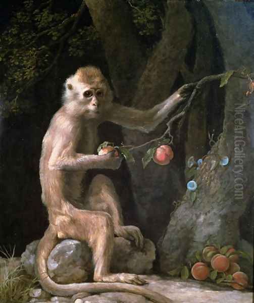 Portrait of a Monkey dated 1774 Oil Painting by George Stubbs