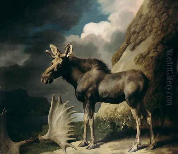 Moose, 1770 Oil Painting by George Stubbs