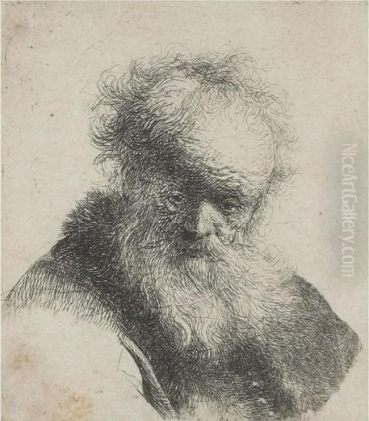 Bust Of An Old Man With Flowing Beard And White Sleeve Oil Painting by Rembrandt Van Rijn