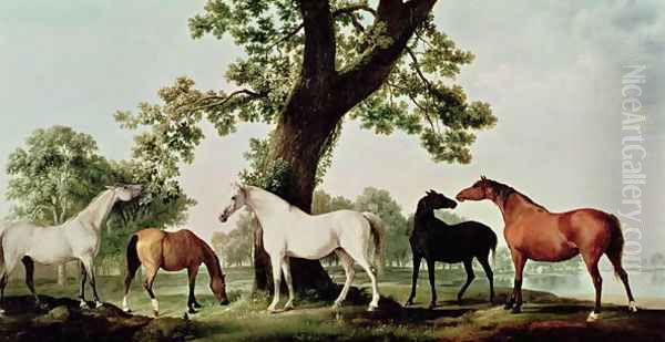 Mares by an Oak Tree Oil Painting by George Stubbs