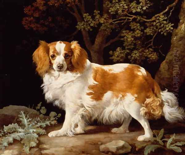 A Liver and White King Charles Spaniel in a Wooded Landscape, 1776 Oil Painting by George Stubbs