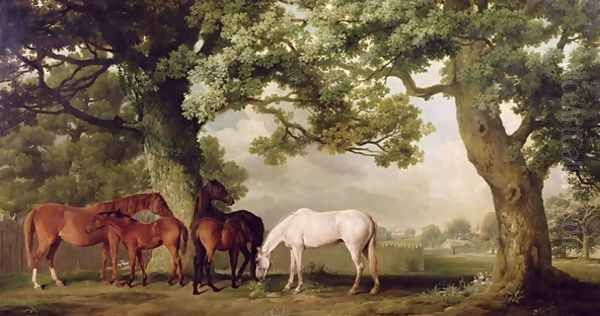 Mares and Foals Beneath Large Oak Trees, c.1764-68 Oil Painting by George Stubbs