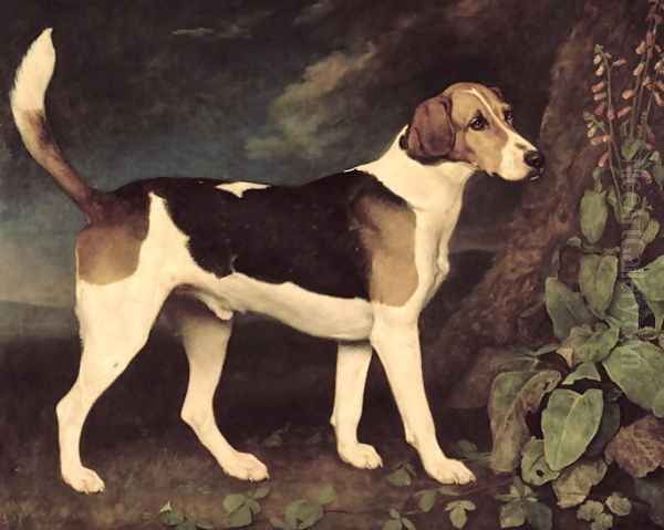 Ringwood, a Brocklesby Foxhound, 1792 Oil Painting by George Stubbs