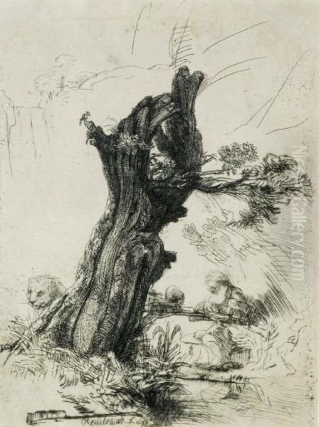 Saint Jerome Beside A Pollard Willow (b., Holl. 103; H. 232) Oil Painting by Rembrandt Van Rijn