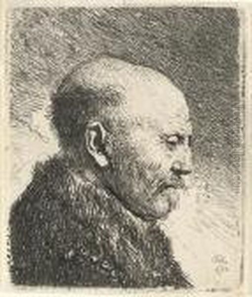 Bald-headed Man In Profile Right; The Artist's Father (?) (b., Holl. 292; H. 23) Oil Painting by Rembrandt Van Rijn